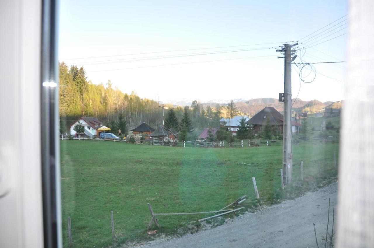 Casa Marioara Villa Şirnea Eksteriør billede